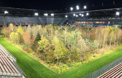 Der Wald im Stadion...